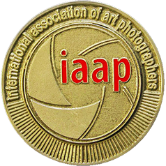 2019 | Jarosław, PL, IAAP Gold Medal, Open – Photo „Nostalgia“